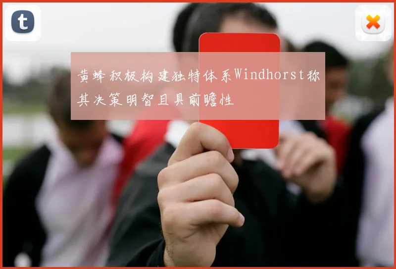 黄蜂积极构建独特体系Windhorst称其决策明智且具前瞻性