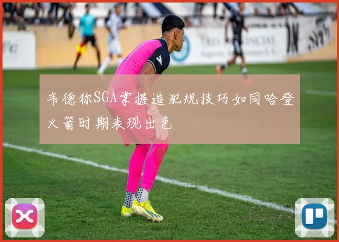 韦德称SGA掌握造犯规技巧如同哈登火箭时期表现出色