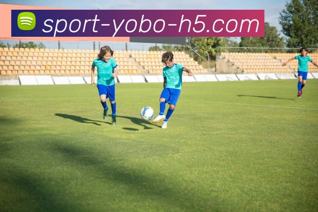 yobo体育服务体系