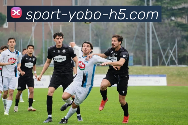 yobo体育APP 体育赛事宣传图